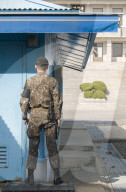 NEWS - Seoul: Neue Direktleitung zwischen Nord und Südkoreas Präsidenten 