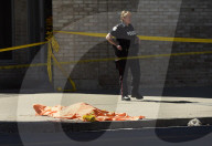 NEWS - Tote und Verletzte in Toronto: Mann fährt in Menschengruppe 