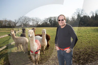 STUDIO - Peter James