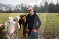 STUDIO - Peter James