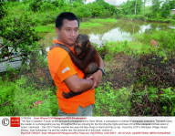 FEATURE - Palmöl Plantagen und Abholzung auf Borneo