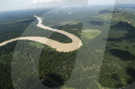 OIL PALM PLANTATION