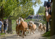 FEATURE - Pix of the Day: Bilder des Tages