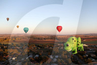 FEATURE - Pix of the Day: Bilder des Tages