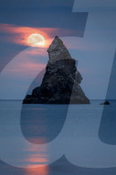 FEATURE - Pix of the Day: Bilder des Tages