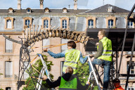 NEWS - Frankreich: 'Mammuthus Volantes' in Strassburg