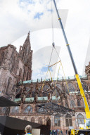 NEWS - Frankreich: 'Mammuthus Volantes' in Strassburg