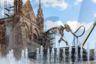 NEWS - Frankreich: 'Mammuthus Volantes' in Strassburg