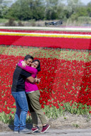 FEATURE - Tulpenblühen in Holland