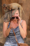 FEATURE - Makaken in Jaipur