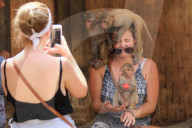 FEATURE - Makaken in Jaipur