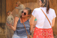 FEATURE - Makaken in Jaipur