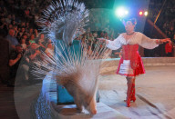 FEATURE - Stachelschweine, Zuckerwatte und Akrobatik im ukrainischen Nationalzirkus