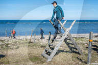 PEOPLE -  Kronprinzessin Victoria besucht die Insel Gotland