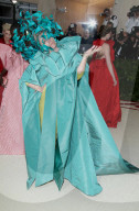 PEOPLE - Metropolitan Museum Gala: Bunter Vogel  Frances McDormand