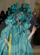 PEOPLE - Metropolitan Museum Gala: Bunter Vogel  Frances McDormand