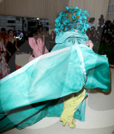 PEOPLE - Metropolitan Museum Gala: Bunter Vogel  Frances McDormand