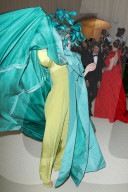 PEOPLE - Metropolitan Museum Gala: Bunter Vogel  Frances McDormand