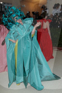 PEOPLE - Metropolitan Museum Gala: Bunter Vogel  Frances McDormand