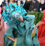 PEOPLE - Metropolitan Museum Gala: Bunter Vogel  Frances McDormand