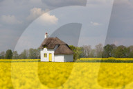 FEATURE - Pix of the Day: Bilder des Tages