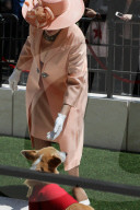 PEOPLE - Royal Wedding: Auch die Corgis sind in Hochzeitslaune