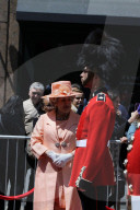 PEOPLE - Royal Wedding: Auch die Corgis sind in Hochzeitslaune