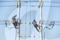 FEATURE - Pix of the Day: Bilder des Tages