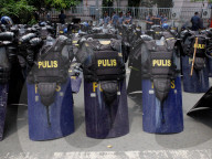 FEATURE - Pix of the Day: Bilder des Tages