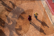 FEATURE - Pix of the Day: Bilder des Tages