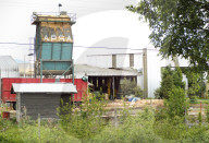 Holzindustrie in Chile, 2005