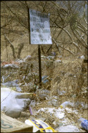Verbotene Müllhalde in Nicaragua, 2004