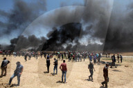 FEATURE - Pix of the Day: Bilder des Tages