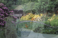 Botanischer Park Seleger Moor 1984