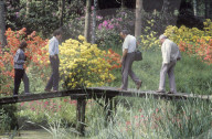 Besucher im botanischen Park Seleger Moor 1984