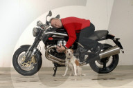 Frank Baumann, Moderator auf Moto-Guzzi, mit Hund Bostitch, 2006