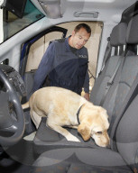 Polizist Thomas Amrein mit Drogenspürhund Oraya