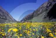 Val de Bagnes