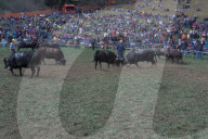 KAMPF DER KOENIGINNEN