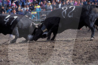 KAMPF DER KOENIGINNEN