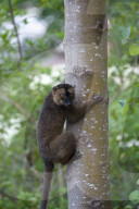 MAYOTTE