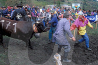 KAMPF DER KOENIGINNEN