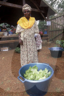 MAYOTTE