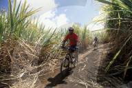 LA REUNION