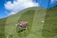 Isenau, les Diablerets