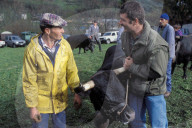 KAMPF DER KOENIGINNEN