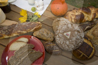 Agritourisme