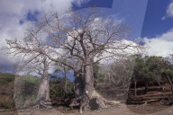 MAYOTTE