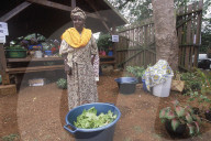 MAYOTTE