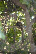 MAYOTTE